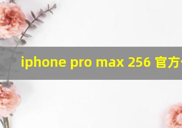 iphone pro max 256 官方价格